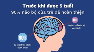 Vai trò của Real Omega- 3 với não